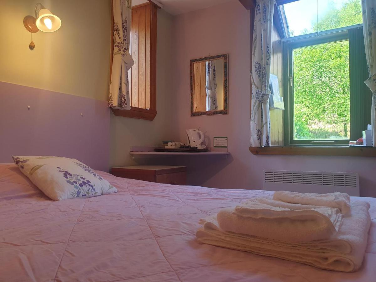 منزل الضيف بلايناو-فيستينيوج  في Bryn Elltyd Eco House المظهر الخارجي الصورة