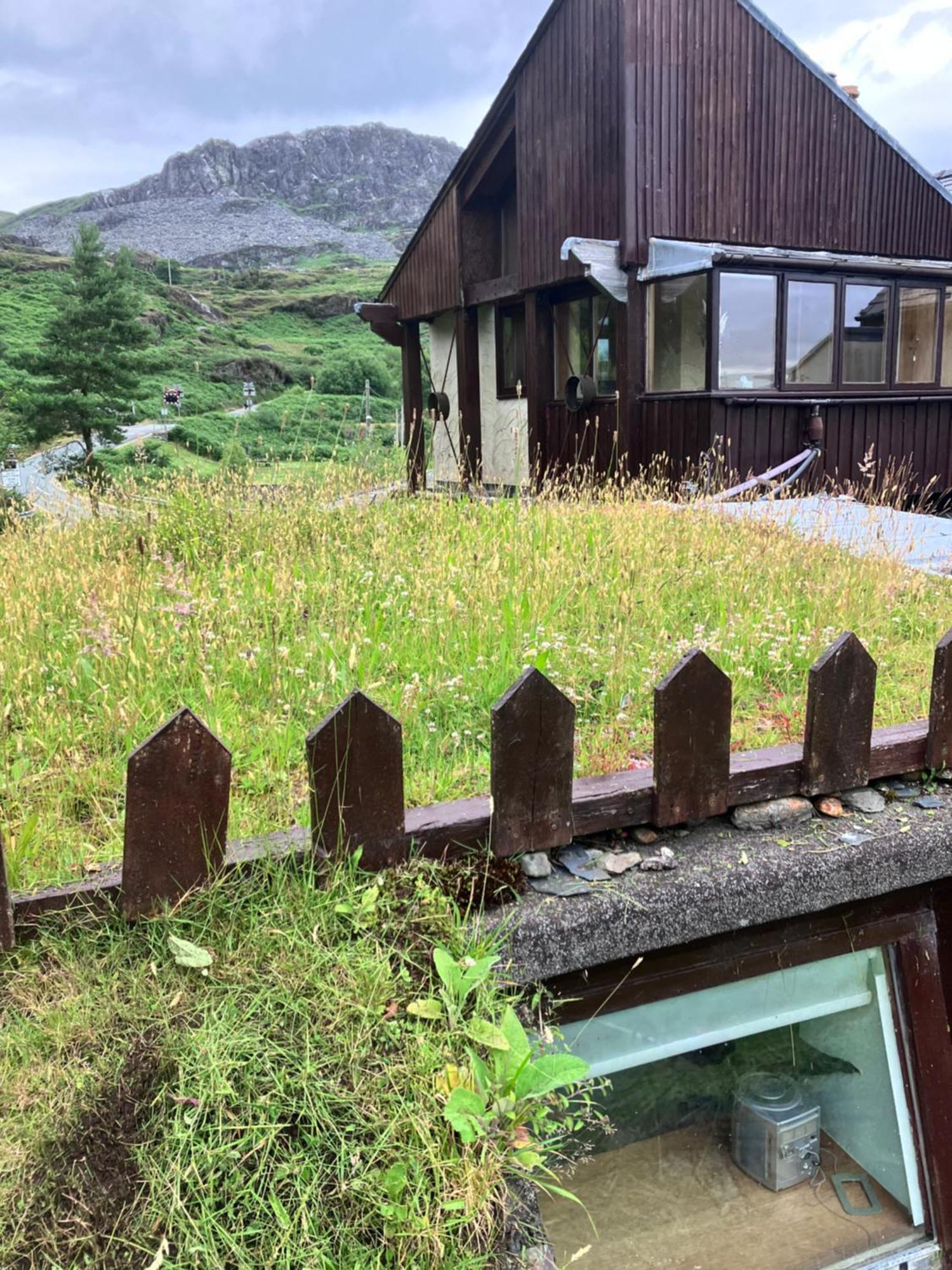 منزل الضيف بلايناو-فيستينيوج  في Bryn Elltyd Eco House المظهر الخارجي الصورة