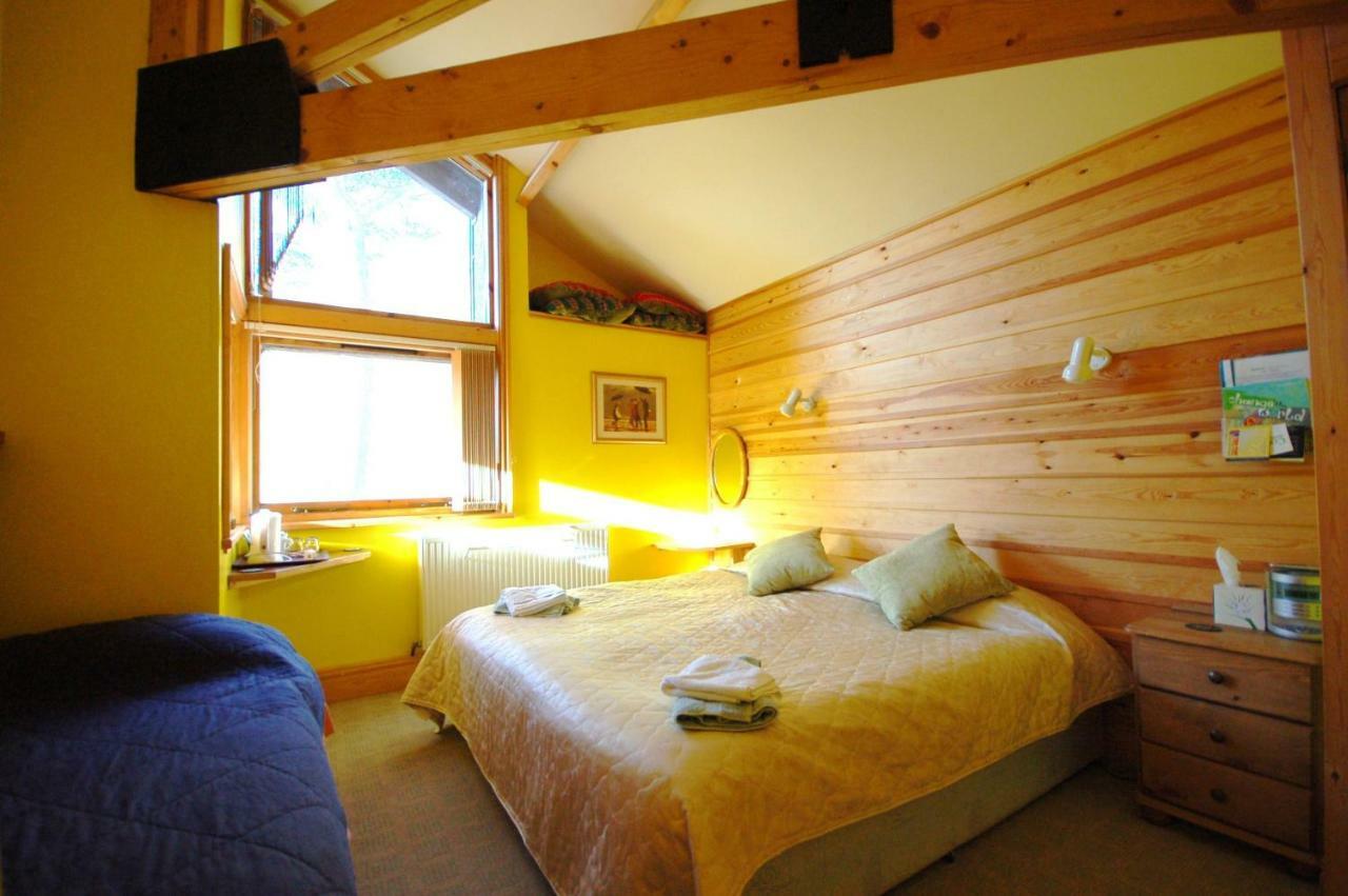 منزل الضيف بلايناو-فيستينيوج  في Bryn Elltyd Eco House المظهر الخارجي الصورة